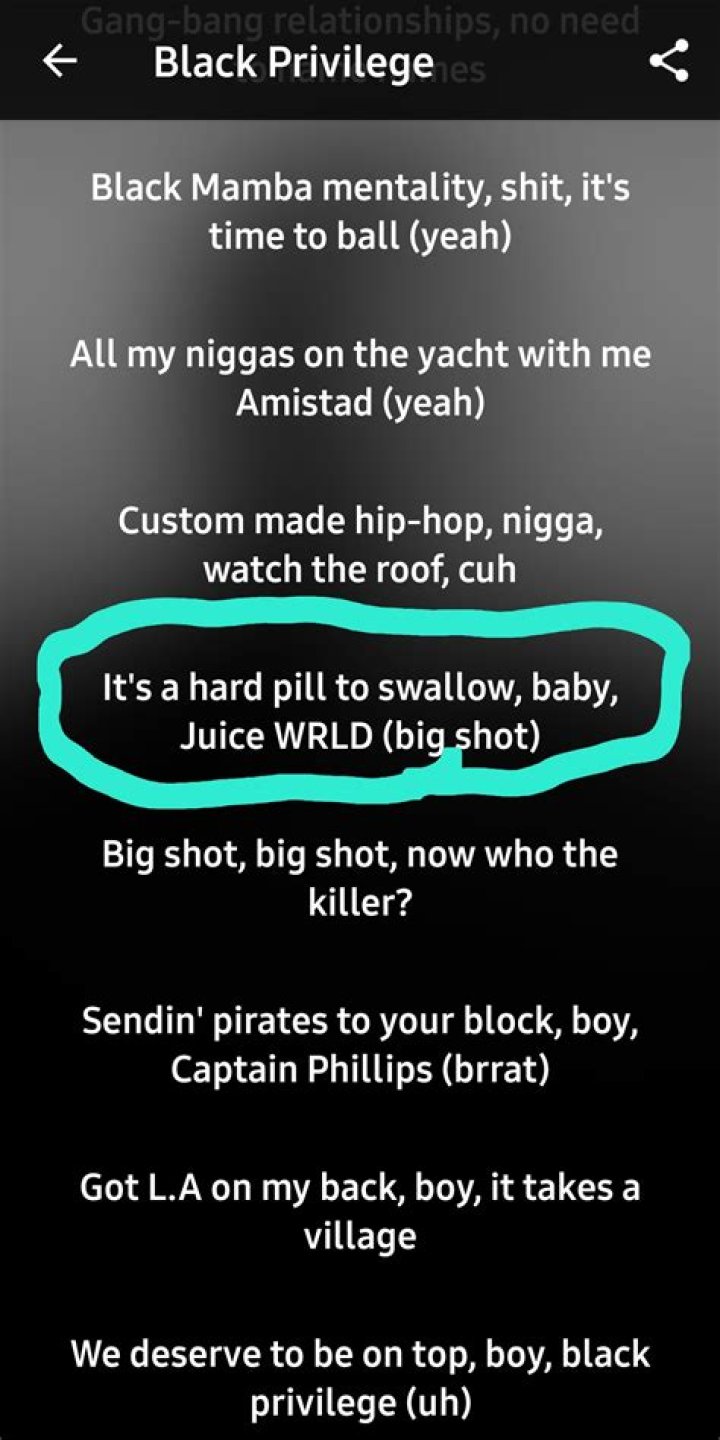 LYRICS: Dr. Dre – Black Privilege