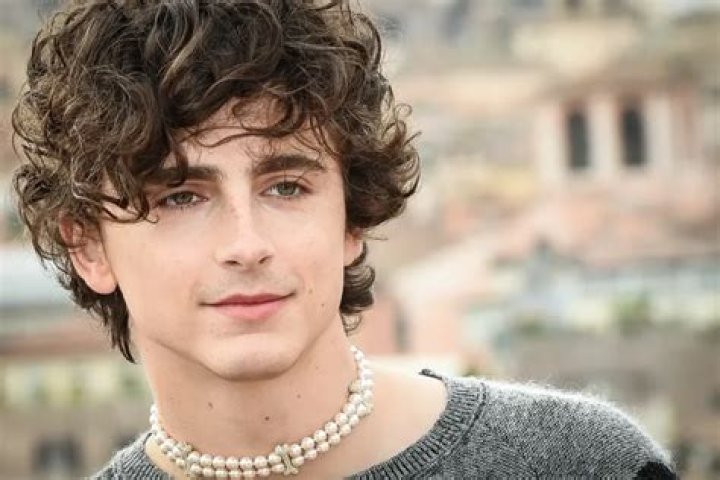 Timothee Chalamet Age, Height, Weight